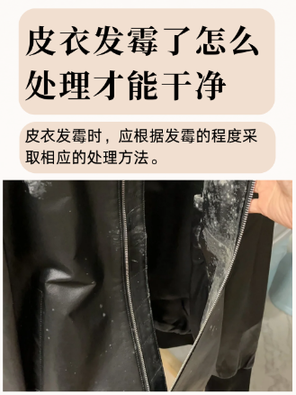 发霉的皮衣怎么处理？揭秘清洁皮衣的小妙招