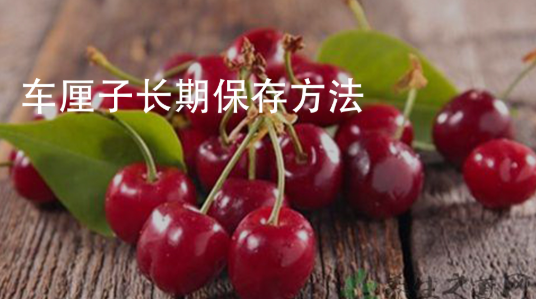 车厘子怎么保存时间长久？全面揭秘车厘子保存方法大全