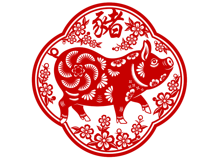 属猪的今年多大了？属猪年龄对照表及性格解析