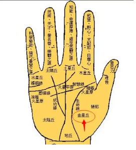 手掌痣与命运：掌心、手指、手背痣的吉凶寓意全解析