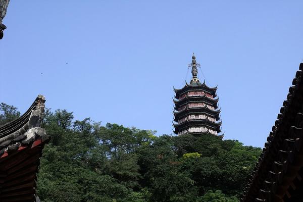 【景代表什么生肖 景代表什么生肖啊】